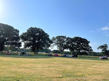 Plenty of trees for shade to pitch your tent