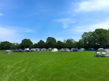 The meadow