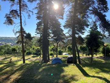 Pitch among the trees