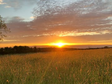 Sunset over the meadow