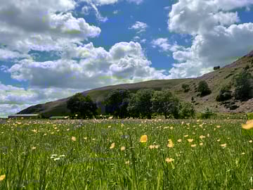 Looking across the hay meadows