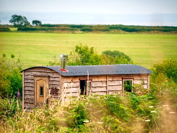 Shepherd's hut in summer