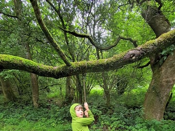 Woodlands to explore