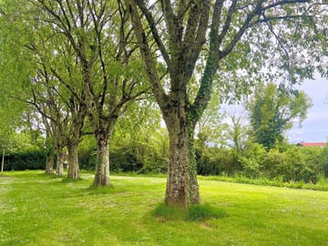 Grass pitches
