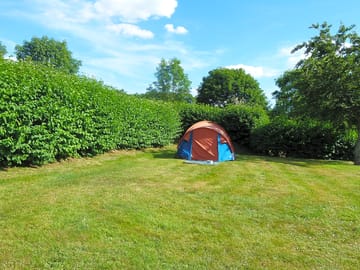 Pitches sheltered by hedges