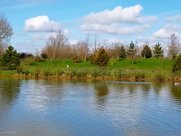 Overlooking the lake