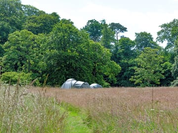 Grass pitches