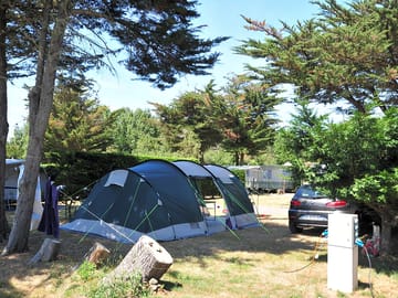 Pitch your tent under a tree for some shade
