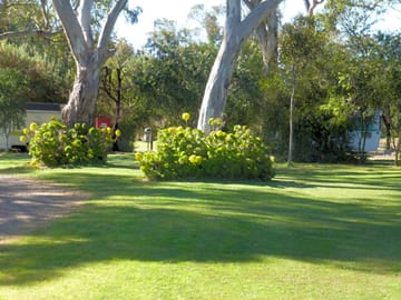 Grass pitches