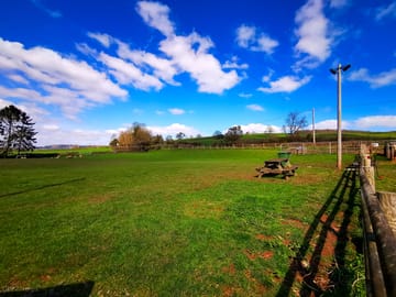 Grass pitches