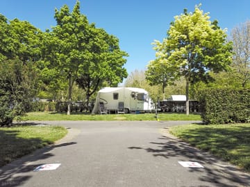 Pitches between the trees