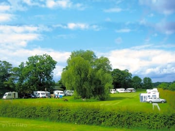Well-presented site