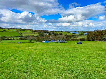 Visitor image of the field