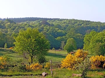 View from the site