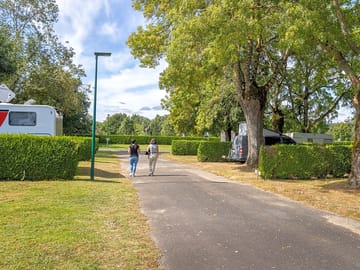 Avenue through the site
