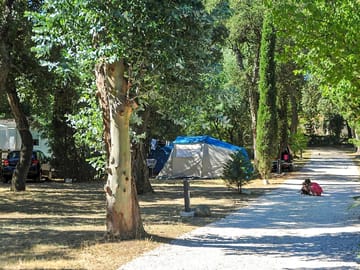 Spacious, partial shade pitches
