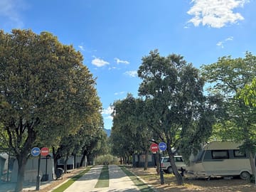 The main road through the site
