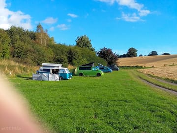 A clutch of vws enjoying the post-harvest view