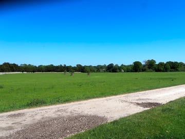Flat grass field with horse lorries welcome