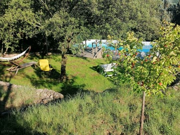 Hammock and pool in the garden