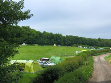 Looking over the paddock