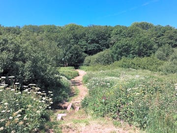 Pathways at ro dama farm