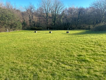 Grass pitches