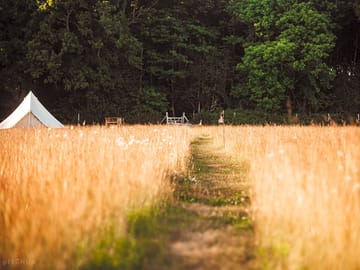 The path into the woods…