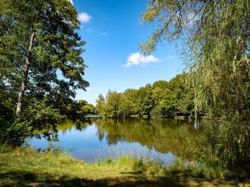 Petit bois lake