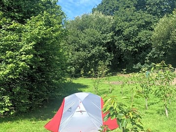 Grass camping pitch