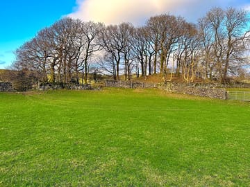 Pitches surrounded by woodland trees