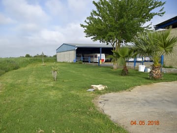 Around the site