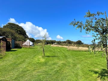 Camping field at the hide pembrokeshire
