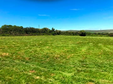 Camping field