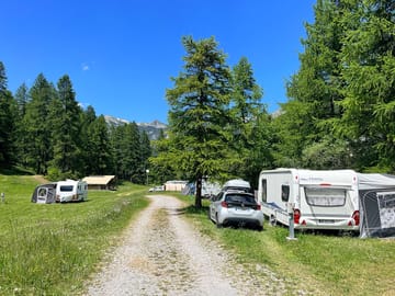 Grass pitches backed by trees
