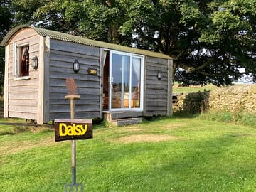 Shepherd's hut - daisy