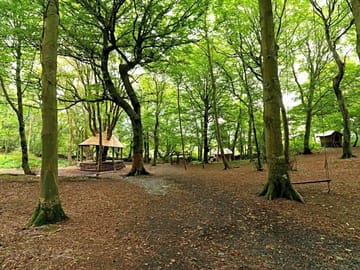 Woodland walks