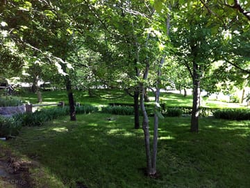Camping area