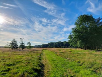 Good morning enholmes meadow