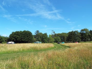 Sunny day at covert farm