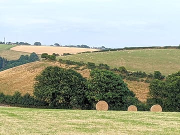 Camping field