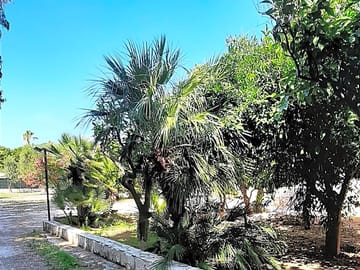 Exterior area pitches