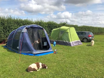 Nice large pitched well spaced out
