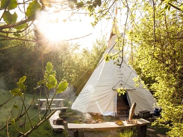 Secluded woodland setting