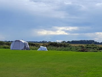 The main field