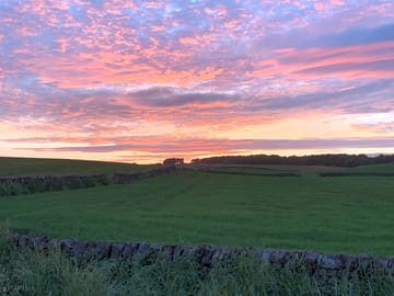 The view from our site