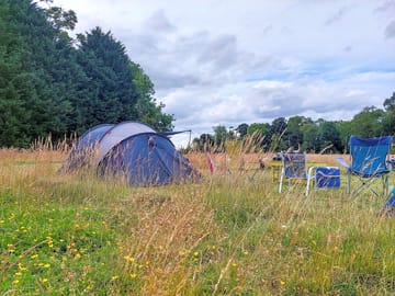 Partially sheltered from the wind by trees