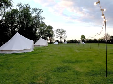 Site view