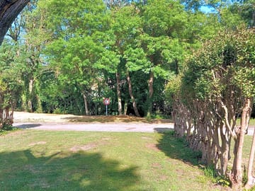 Grassy pitches