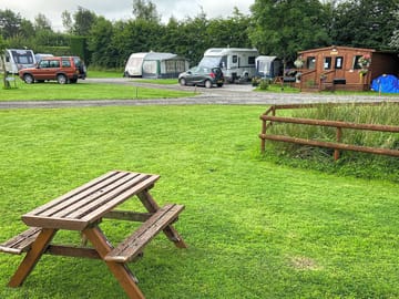 Reception and pitches